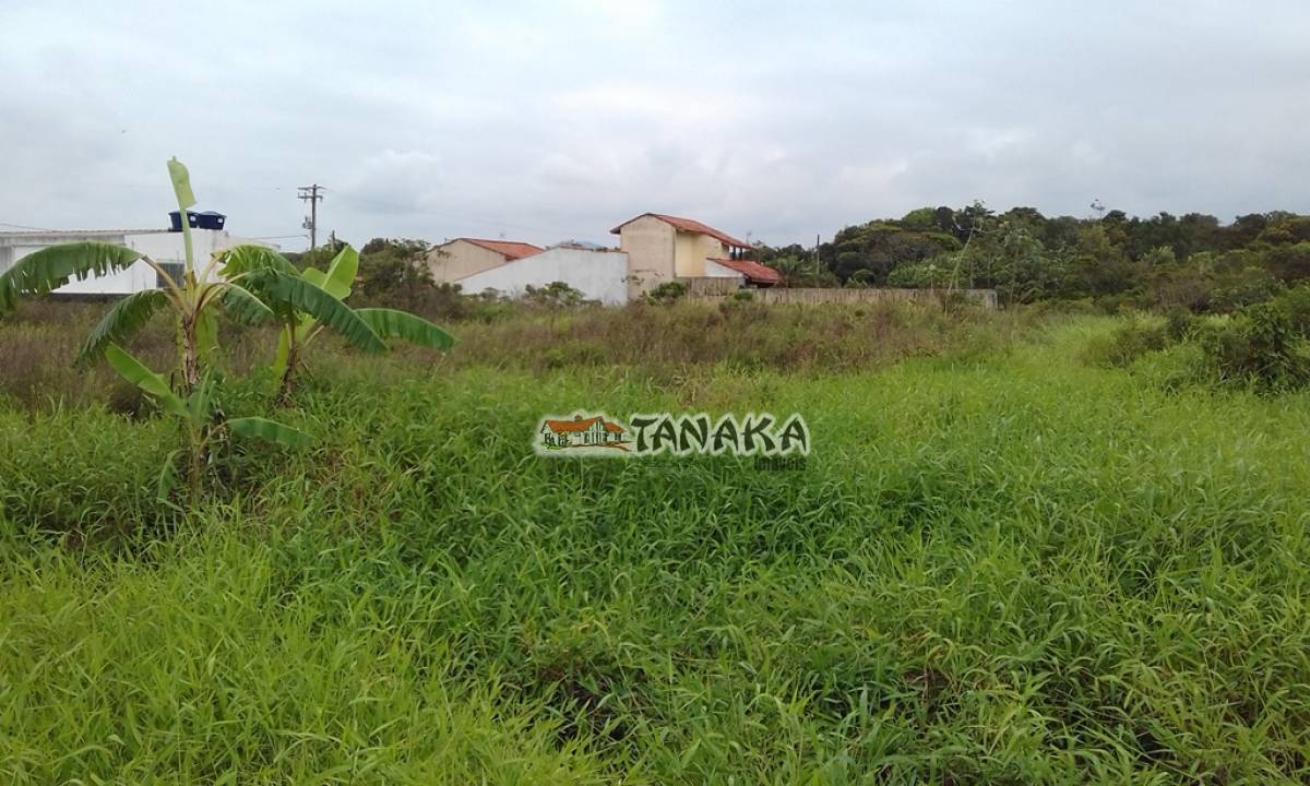 Terreno em Peruíbe - Tanaka Imóveis
