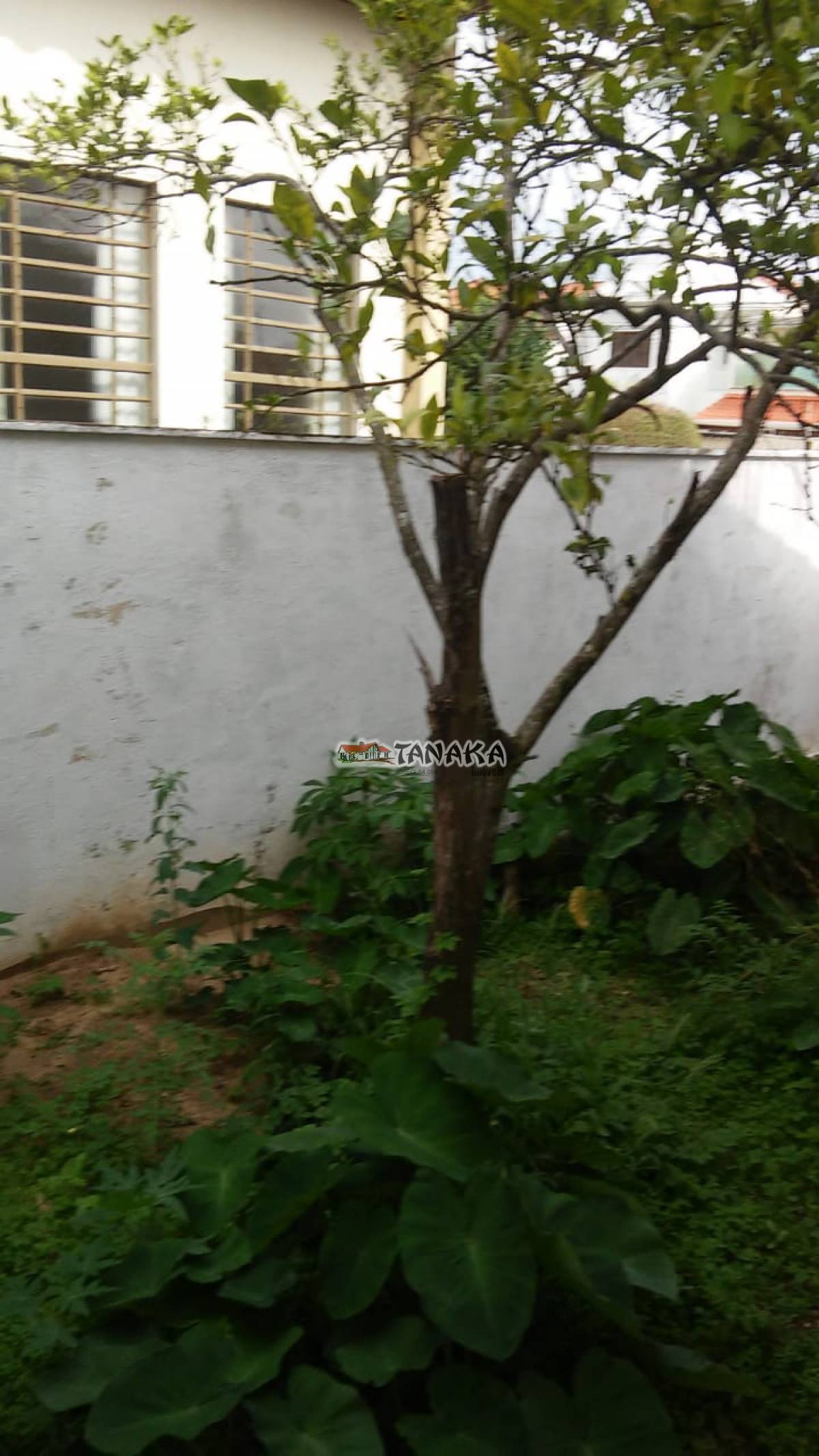 Casa em Peruíbe